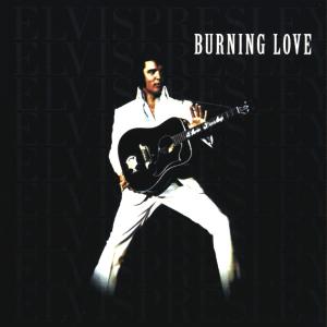 burning-love
