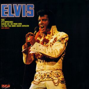 FTD 94 - Elvis Fool (2-CD)