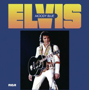 FTD 501 - Moody Blue