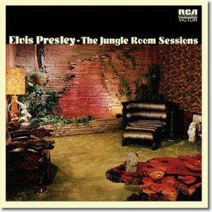 FTD 290 - The Jungle Room Sessions LP